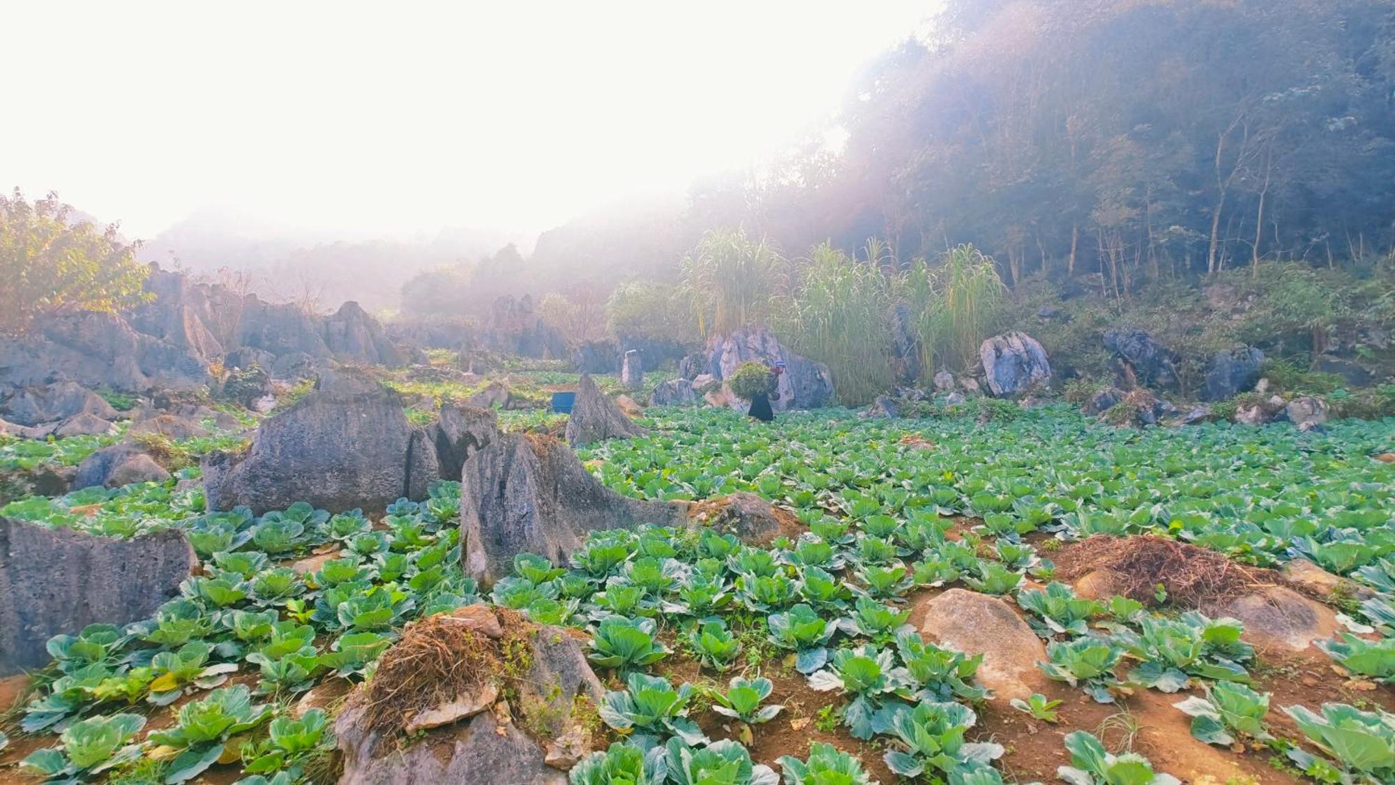 Nhà Cổ Lao Xa Homestay Hmong Dong Van  Extérieur photo